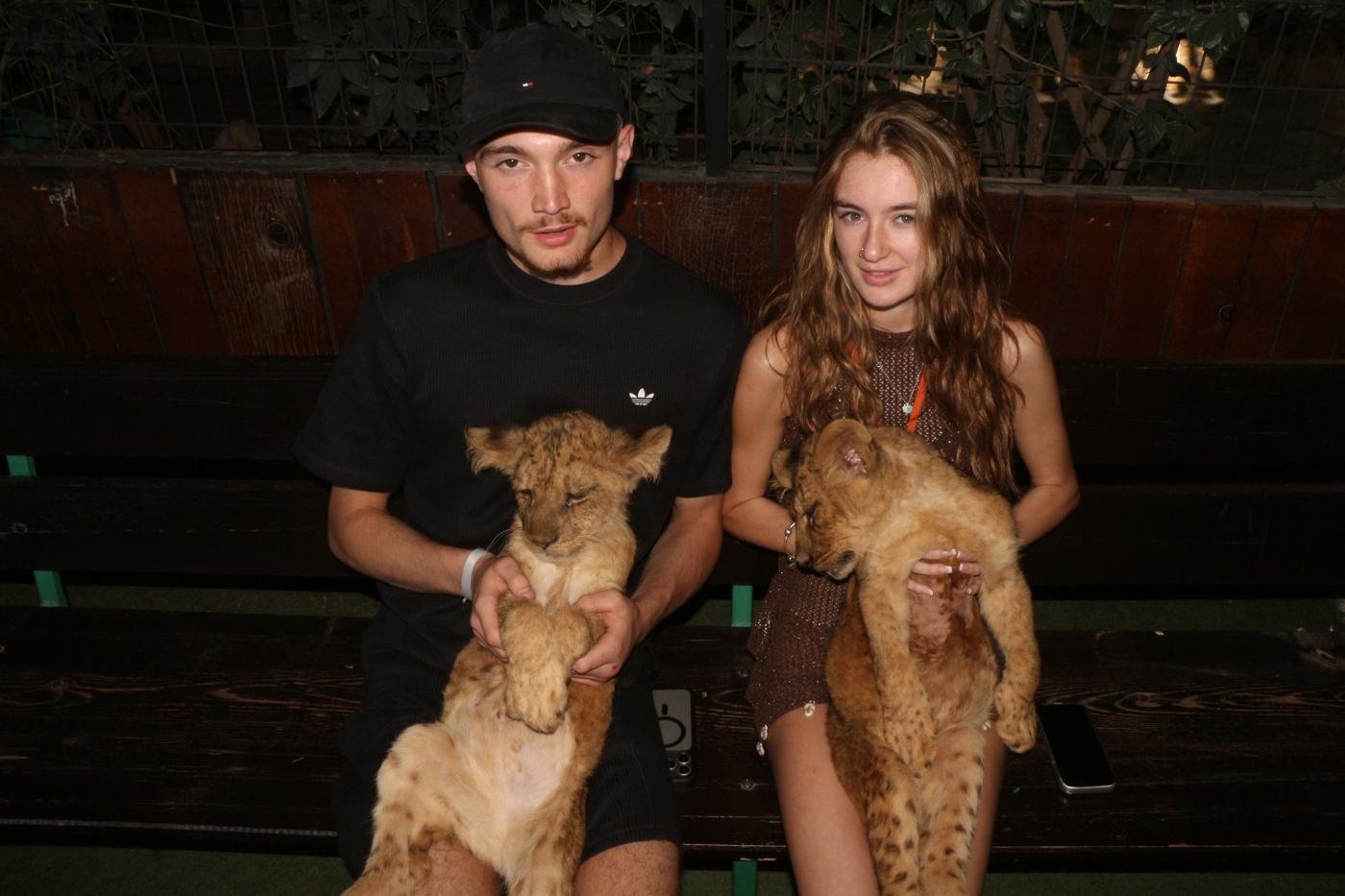 Lwiątka — Lions Park Antalya