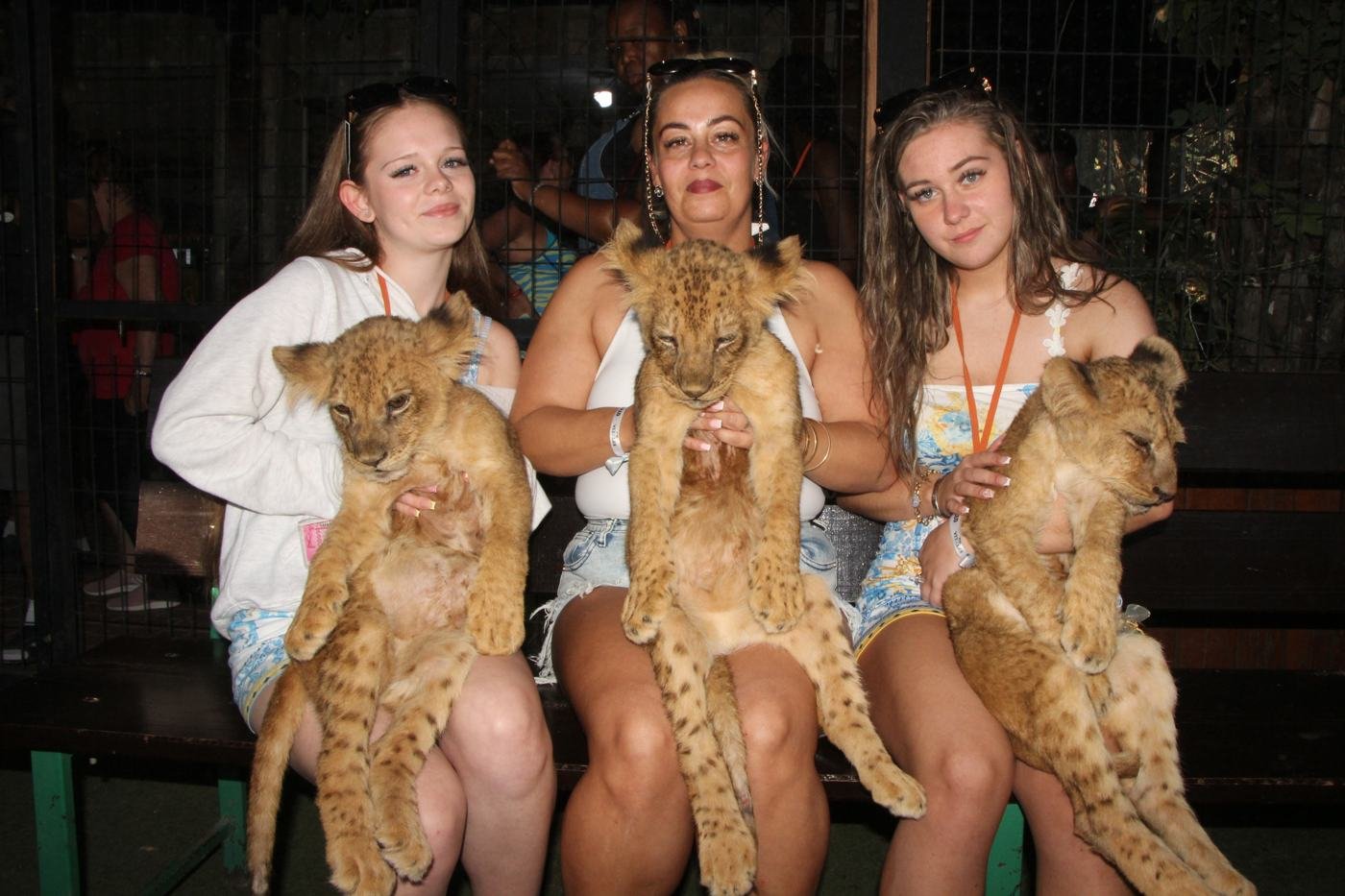 Lwiątka — Lions Park Antalya