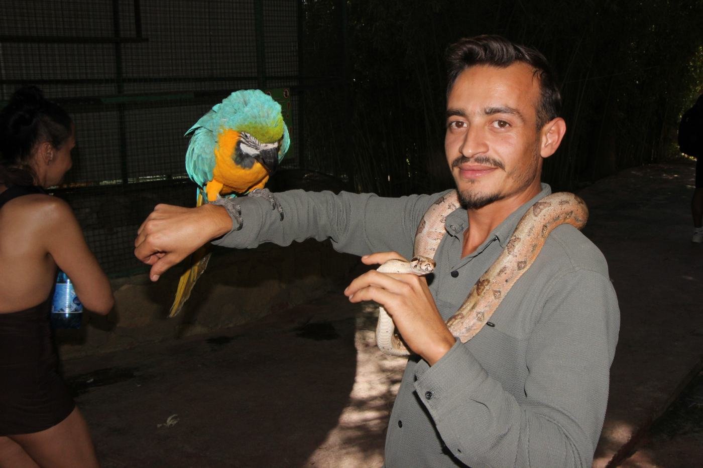 Papuga i wąż — Lions Park Antalya